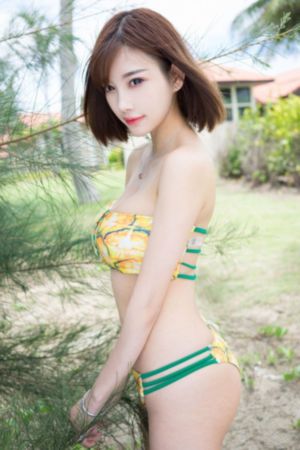 火凤凰之特种兵