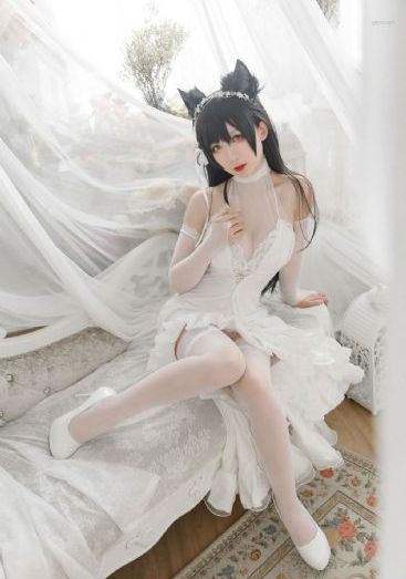 声生不息宝岛季